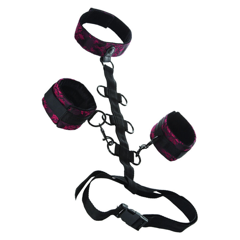 Calexotics - Scandal Support Comporal  Avec Cou